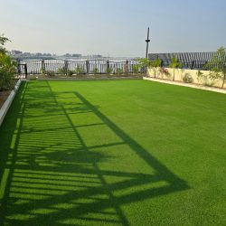 WhatsApp Image 2025-03-06 at 12.36.05